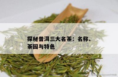 探秘普洱三大名茶：名称、茶园与特色