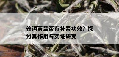 普洱茶是否有补肾功效？探讨其作用与实证研究