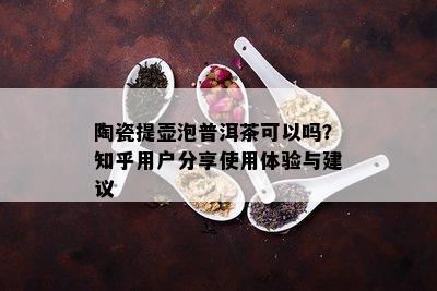 陶瓷提壶泡普洱茶可以吗？知乎用户分享使用体验与建议