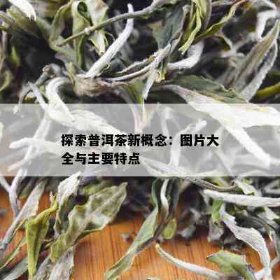 探索普洱茶新概念：图片大全与主要特点