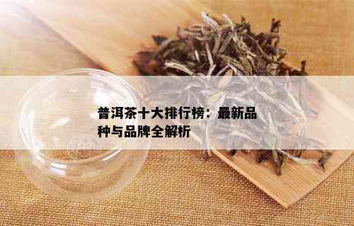 普洱茶十大排行榜：最新品种与品牌全解析