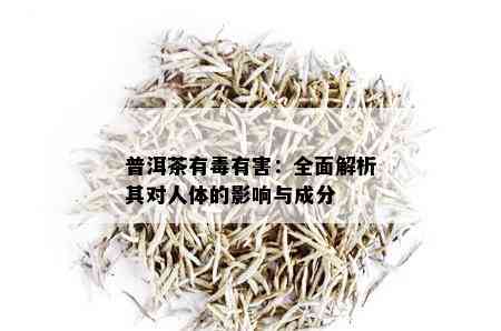 普洱茶有有害：全面解析其对人体的影响与成分