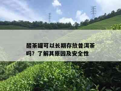 醒茶罐可以长期存放普洱茶吗？了解其原因及安全性