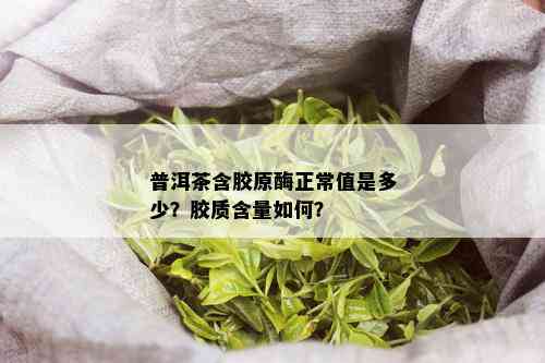 普洱茶含胶原酶正常值是多少？胶质含量如何？