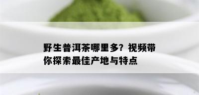 野生普洱茶哪里多？视频带你探索更佳产地与特点