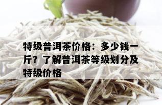 特级普洱茶价格：多少钱一斤？了解普洱茶等级划分及特级价格