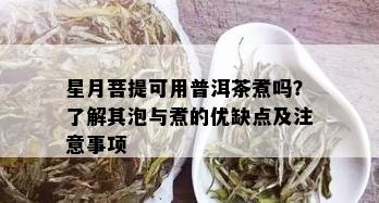 星月菩提可用普洱茶煮吗？了解其泡与煮的优缺点及注意事项