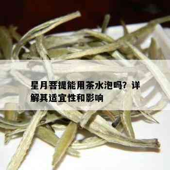 星月菩提能用茶水泡吗？详解其适宜性和影响