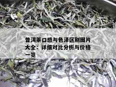 普洱茶口感与色泽区别图片大全：详细对比分析与价格一览