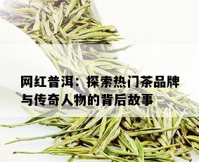 网红普洱：探索热门茶品牌与传奇人物的背后故事