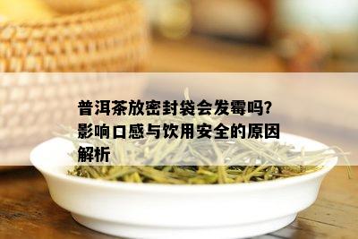 普洱茶放密封袋会发霉吗？影响口感与饮用安全的原因解析