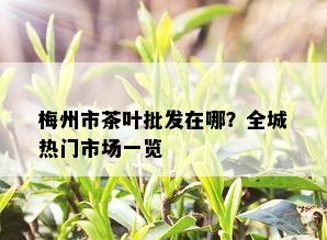 梅州市茶叶批发在哪？全城热门市场一览