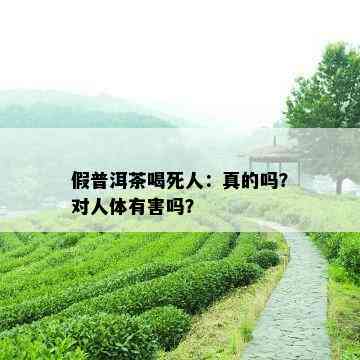 假普洱茶喝死人：真的吗？对人体有害吗？