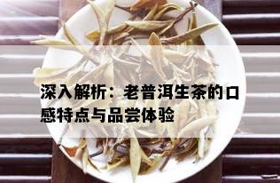 深入解析：老普洱生茶的口感特点与品尝体验