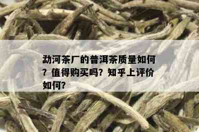 勐河茶厂的普洱茶质量如何？值得购买吗？知乎上评价如何？