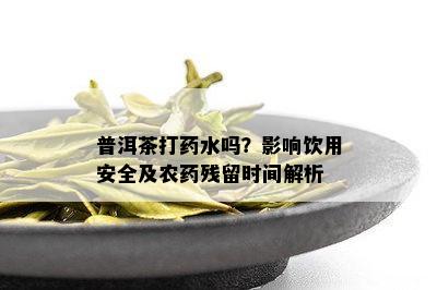 普洱茶打药水吗？影响饮用安全及农药残留时间解析