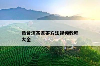 熟普洱茶煮茶方法视频教程大全