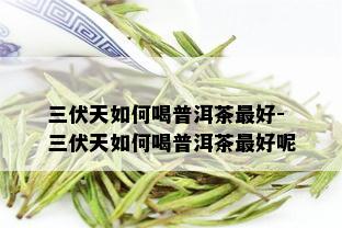 三伏天如何喝普洱茶更好-三伏天如何喝普洱茶更好呢