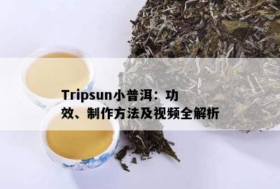 Tripsun小普洱：功效、制作方法及视频全解析