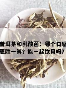 普洱茶和乳酸菌：哪个口感更胜一筹？能一起饮用吗？