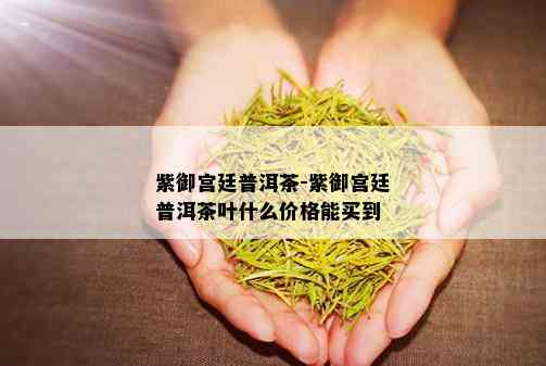 紫御宫廷普洱茶-紫御宫廷普洱茶叶什么价格能买到