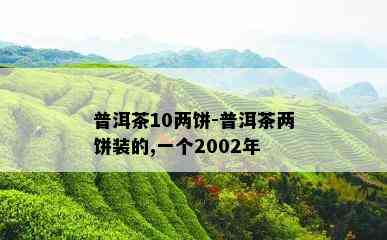 普洱茶10两饼-普洱茶两饼装的,一个2002年