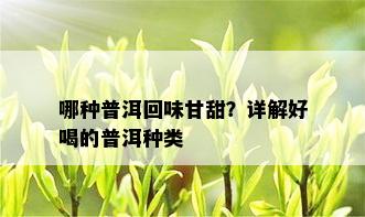 哪种普洱回味甘甜？详解好喝的普洱种类