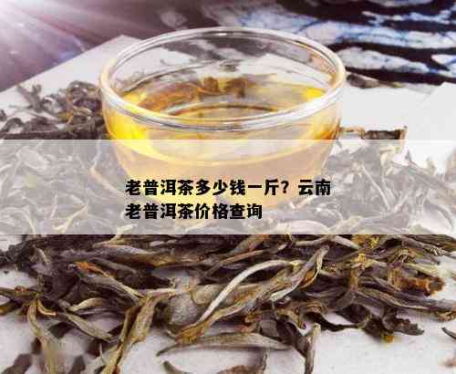 老普洱茶多少钱一斤？云南老普洱茶价格查询