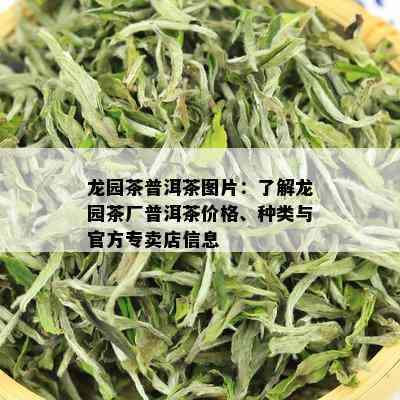 龙园茶普洱茶图片：了解龙园茶厂普洱茶价格、种类与官方专卖店信息