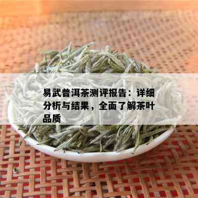 易武普洱茶测评报告：详细分析与结果，全面了解茶叶品质