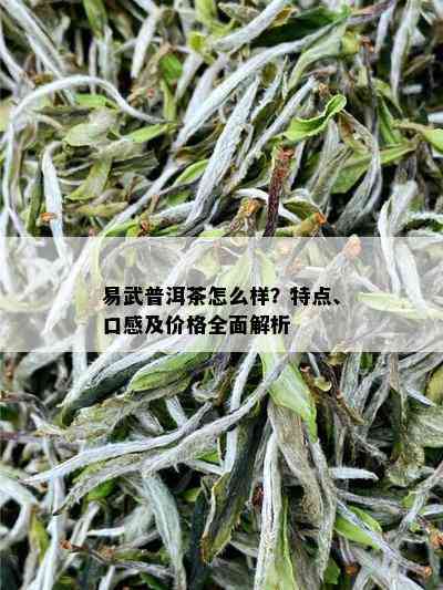 易武普洱茶怎么样？特点、口感及价格全面解析