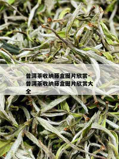 普洱茶收纳藤盒图片欣赏-普洱茶收纳藤盒图片欣赏大全