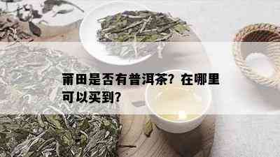 莆田是否有普洱茶？在哪里可以买到？