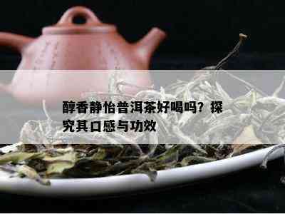 醇香静怡普洱茶好喝吗？探究其口感与功效