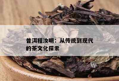 普洱程汝明：从传统到现代的茶文化探索