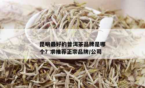 昆明更好的普洱茶品牌是哪个？求推荐正宗品牌/公司