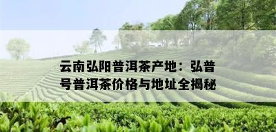 云南弘阳普洱茶产地：弘普号普洱茶价格与地址全揭秘