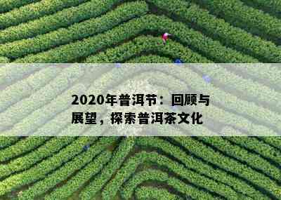 2020年普洱节：回顾与展望，探索普洱茶文化