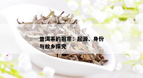 普洱茶的祖宗：起源、身份与故乡探究