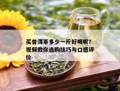 买普洱茶多少一斤好喝呢？视频教你选购技巧与口感评价