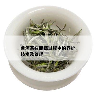 普洱茶在储藏过程中的养护技术及管理