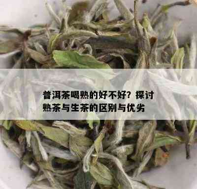 普洱茶喝熟的好不好？探讨熟茶与生茶的区别与优劣