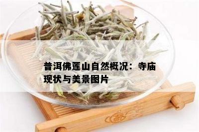 普洱佛莲山自然概况：寺庙现状与美景图片