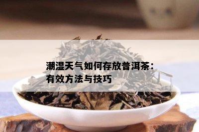 潮湿天气如何存放普洱茶：有效方法与技巧