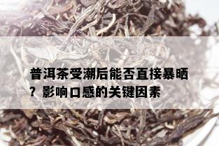 普洱茶受潮后能否直接暴晒？影响口感的关键因素