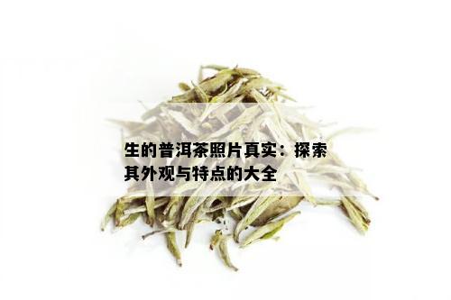 生的普洱茶照片真实：探索其外观与特点的大全