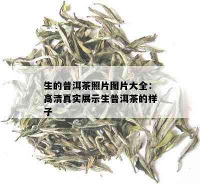 生的普洱茶照片图片大全：高 *** 实展示生普洱茶的样子