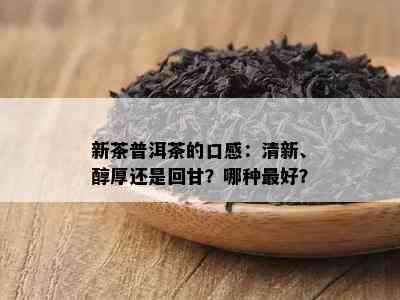 新茶普洱茶的口感：清新、醇厚还是回甘？哪种更好？