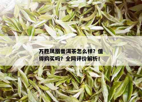 万胜凤凰普洱茶怎么样？值得购买吗？全网评价解析！