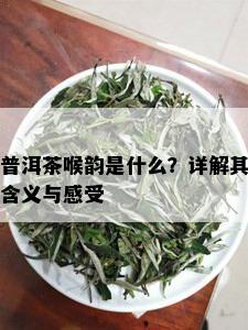 普洱茶喉韵是什么？详解其含义与感受